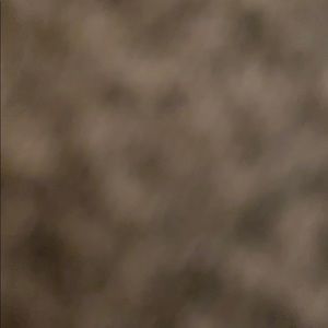 Meet your Posher, Brookelynn